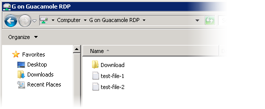 The Guacamole drive's "Download" folder.