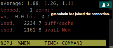 Count of current users of shared session, including a notification showing
that "guacadmin" has joined.
